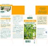 SCUTELLARIA Estratto titolato pastiglie - 30 g