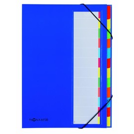 Pagna 44133-01 Desk Organiser, 12 Coloured Divider Tabs, Elastic Band in Corners, Flexible Back Cover, Coloured Section List