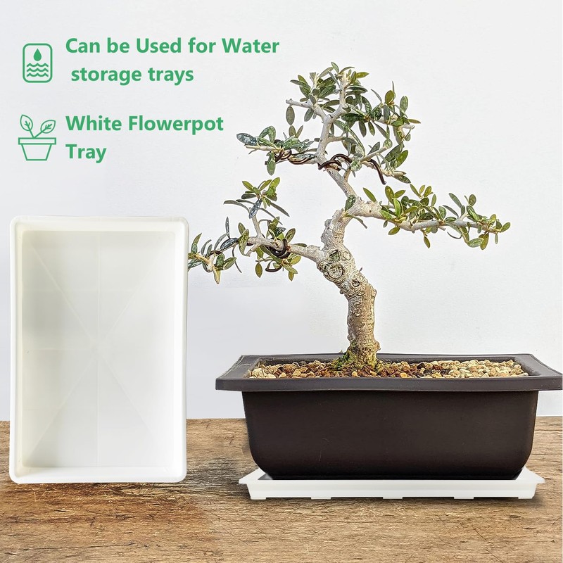 RooTrimmer 5 Pack Nursery Pot Tray, Carrying and Holding Plant