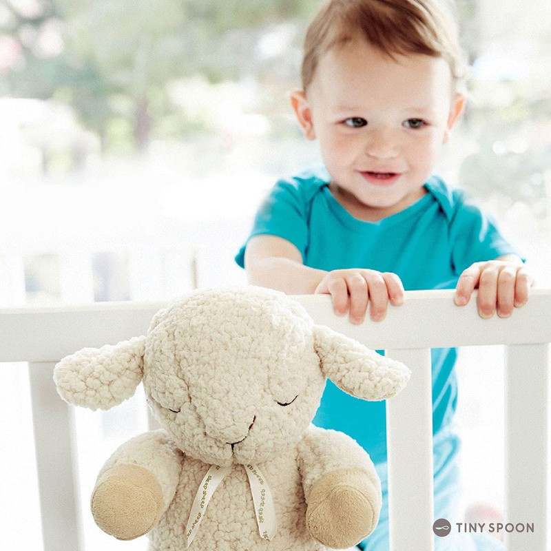 Sleep Sheep, Cloud B, Crowdbee, Sleeping Habits, Relax, Crying at