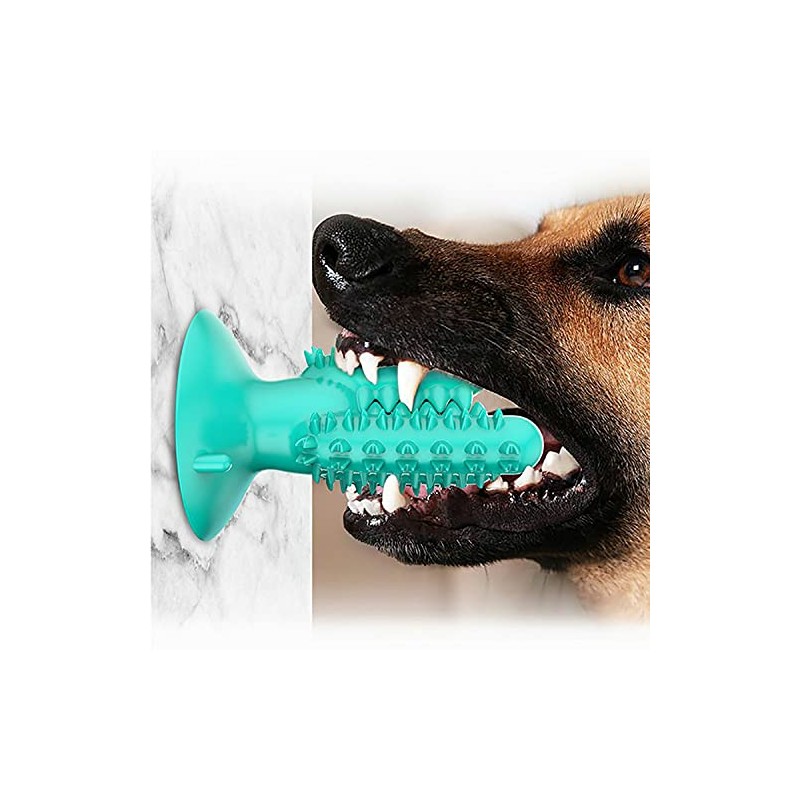 Cepillo Dental para Perros, Cactus, Cuidado Dental, Juguete para Masticar,