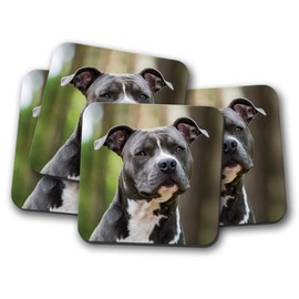 4 Set - Blue American Staffy Coaster - Dog Dogs Puppy Animal Pets #15381