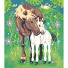 Janod - Paint by Numbers Set - Horses - 2