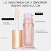 Phofay Labial Gloss Tinta Hidratacion Aceite Ultra Brillante