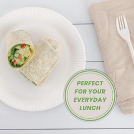 LARGE Disposable Paper Plates 23cm/9 inch PACK Of 100, Biodegradable Paper Plates, Birthday Party Plates, DISPOSABLE PLATES FOR HOT & COLD FOOD, Disposable Plates for Household Parties