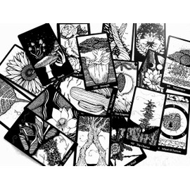 Terra Botanical Plant Tarot Deck - Indie Made 78 Card Deck with Guidebook Black 2.75inches x 4.75inches