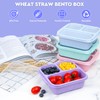 Globright Snack Box Containers 4 Pack, 3 Compartments Bento Box