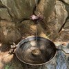 HOUYANG Diam 12.2 inchs Rain Chain Basin,Replacement for Standard Rain