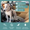 Adjustable Car Seat Belt for Pets - Dog & Cat