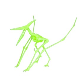 EDU-TOYS Pterodactylus Pterodactylus Glow-in-the-Dark Quick Kit
