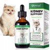 Oimmal Kidney Support for Cats Liquid Supplement Supports Healthy Kidney