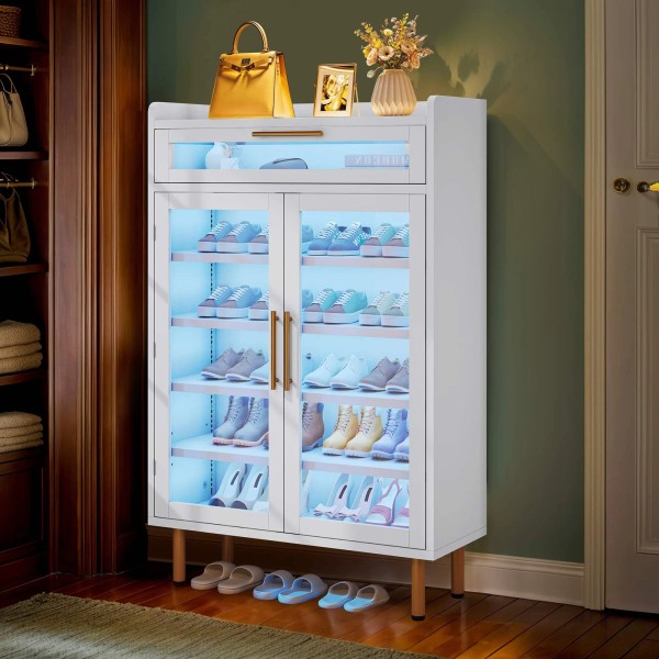 HOMIFLEX Acrylic Shoe Cabinet with Drawer LED Lights Shoe Rack