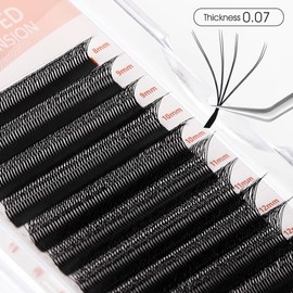 NATUHANA W Form Clover Eyelash Extension 5D Preused Fans 0.07 mm D Curls 8-14 Mixed Tray Volume Eyelash Cluster Eyelash Extension (5D Black 0.07D 8-14 Mix)