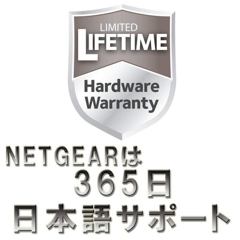 Netgear Switching Hub, Group 2