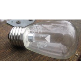 American Lighting Quantity 2:  American Lighting PS14-E26-WW 1.4W S14 LED 120VAC 13ma Light Bulb
