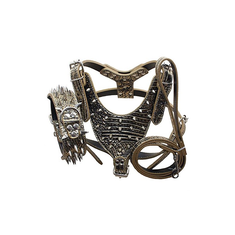 Haoyueer Leather Sharp Spiked Studded Dog Collars, Harnesses & Leashes