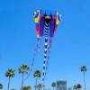 XKites Giant 189" Trilobite Airfoil Nylon 3D Kite For Adults
