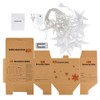 BLOOMWIN Light curtain star light chain curtain, USB 8 modes,