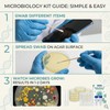 Bacteria Growing Kit with Pre-Poured Agar Plates | LB Agar