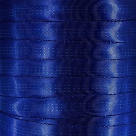 West Coast Paracord 1-Inch Tubular Nylon Webbing – Premium Heavy Duty Lightweight with Breaking Strength of 4000 Pounds – Outdoor All Purpose Straps for Climbing and Securing (Royal Blue, 1 Yard)