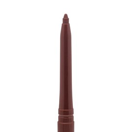 Palladio Delineador de Labios Retráctil Resistente al Agua de Alto Pigmento y Color Cremoso, Fórmula a Prueba de Manchas y de Larga Duración Todo el Día sin Necesidad de Sacapuntas, Coffee