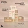 ANNEMARIE BÖRLIND System Absolute System Night Care Set - Regenerating