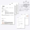 Aqua Mebius Replacement Filter Set of 3 for Dogs and