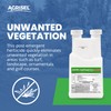 Agrisel GlyPhoSel Pro Dry75 Weed Killer, Fast-Acting, Targets Tough Weeds