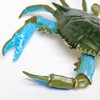 Safari Ltd. Blue Crab Figurine - Realistic 7" Model Figure