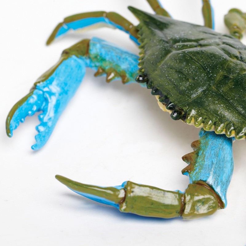 Safari Ltd. Blue Crab Figurine - Realistic 7" Model Figure