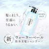 Amplifier Waterveil Smooth Shampoo Refill