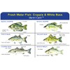 Crappie & White Bass Ident-I-Card - Freshwater Fish Identification Card