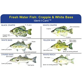 Crappie & White Bass Ident-I-Card - Freshwater Fish Identification Card