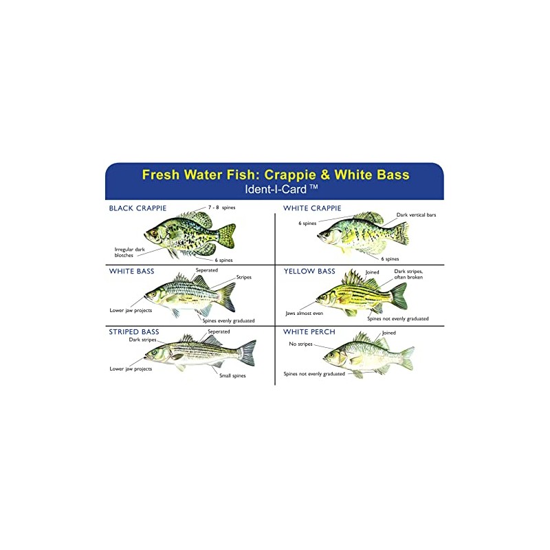 Crappie & White Bass Ident-I-Card - Freshwater Fish Identification Card