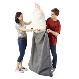 Big Joe Bean Refill 100L 2 Pack