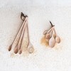Creative Co-Op Carved Beech Wood Measuring Spoons, Natural, Set of