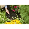 Scotts Rose & Bloom Continuous Release Plant Food, 3 lb