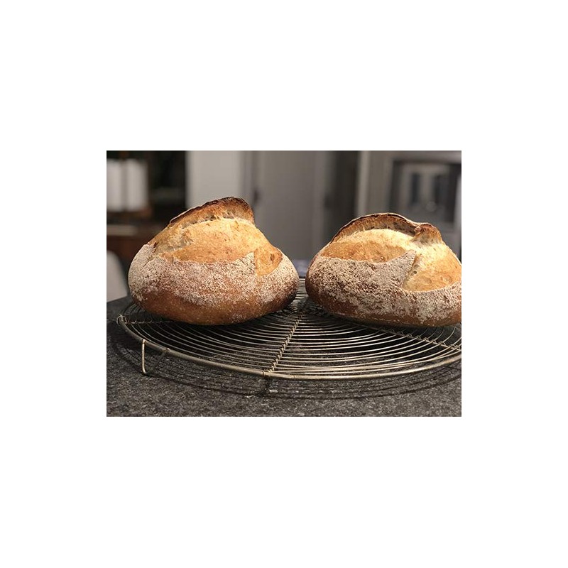 Giusto's Organic All-Purpose All-Family Flour, 25 lb.