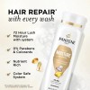 Pantene Pro Shampoo Renovador Diario Humedad 310