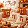 3D Plush Pumpkin Pillow Cover for Fall Decorating – Soft