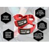 BEAR GRIP - Figure 8 Weight Lifting Straps Elite Edition