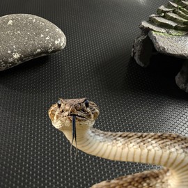 MIOIO Ultimate Bearded Dragon Tank Accessories-17.7×59 Inches Reptile Substrate Mat - Non-Slips Reptile Carpet for Lizard, Iguana, Snake, Tortoise and More