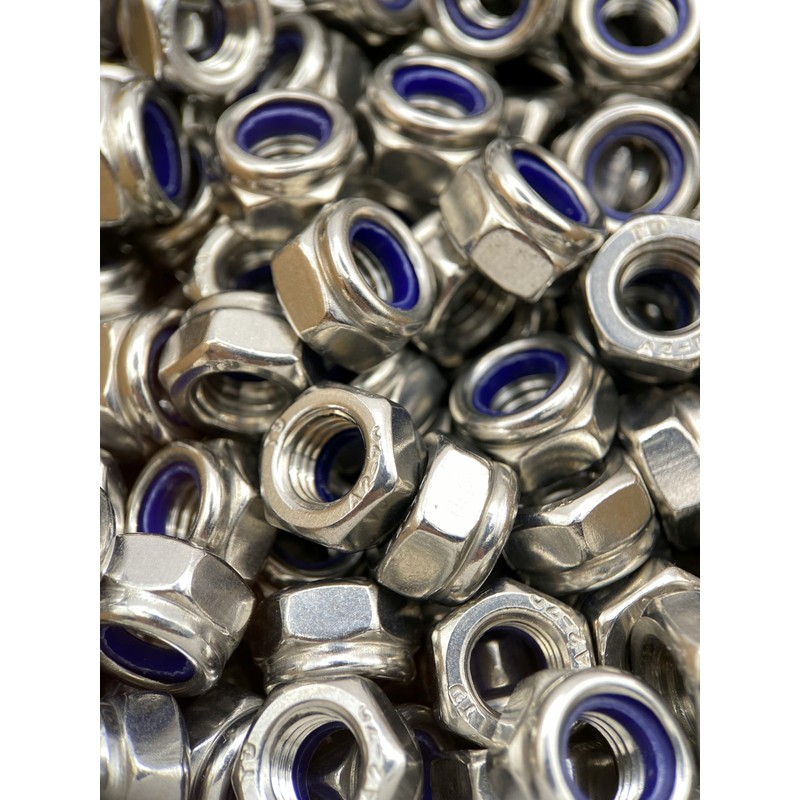 ProRaje Pack of 10 NYLSTOP Nuts M6 Stainless Steel Undelayed