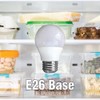 Miracle LED 604011 Refrigerator and Freezer Light, A14, Long Life