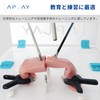LAPLAY Surgical Training Simulated Gut Model Skin Suture Practice Laparoscopic