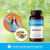 Bioherba Boswellia 100 Capsules 400mg