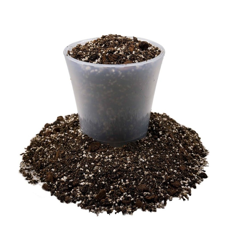 Expert Dahlia Potting Soil Mix by Gardenera - Enhance Growth