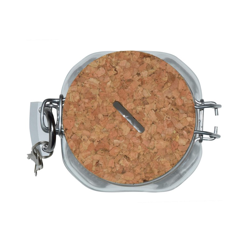 Money Box Holiday Fund Money Gift Idea Transparent L