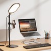 Desk Ring Light with Stand and Phone Holder, 3000K-6500K Adjustable