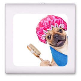 Plug in Dimmable LED Night Light with Dusk to Dawn Auto Sensor, Adjustable Brightness, Warm Light, Auto On-Off Nightlight for Bathroom, Hallway, Nursery, Bedrooms - Shower Dog